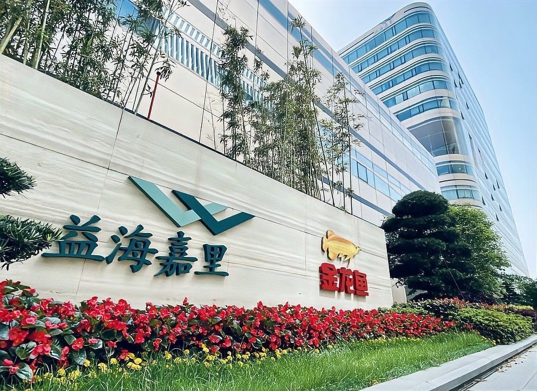 金龍魚(yú)養(yǎng)殖基地的規(guī)模有多大（“油茅”金龍魚(yú)盯上蛋雞賽道！）