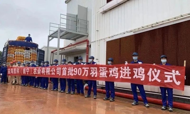 設(shè)置手機使用動態(tài)龍魚壁紙，您需要遵循以下步驟，如何設(shè)置手機使用動態(tài)龍魚壁紙