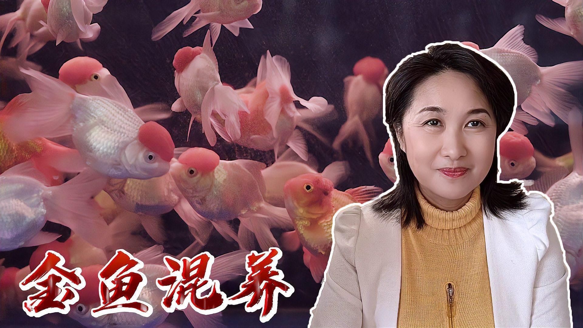 金龍魚和金魚能混養嗎（金龍魚和金魚能否混養） 金龍魚和金魚能混養嗎（金龍魚和金魚能否混養） 龍魚百科 第2張
