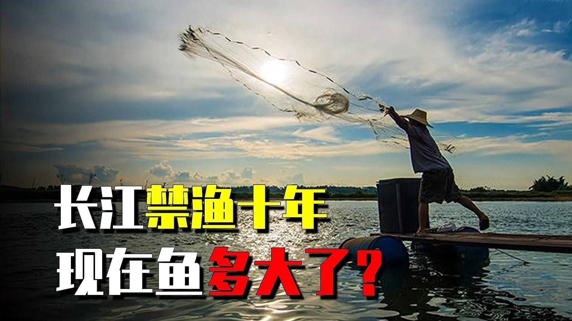 如何評估長江禁捕的效果