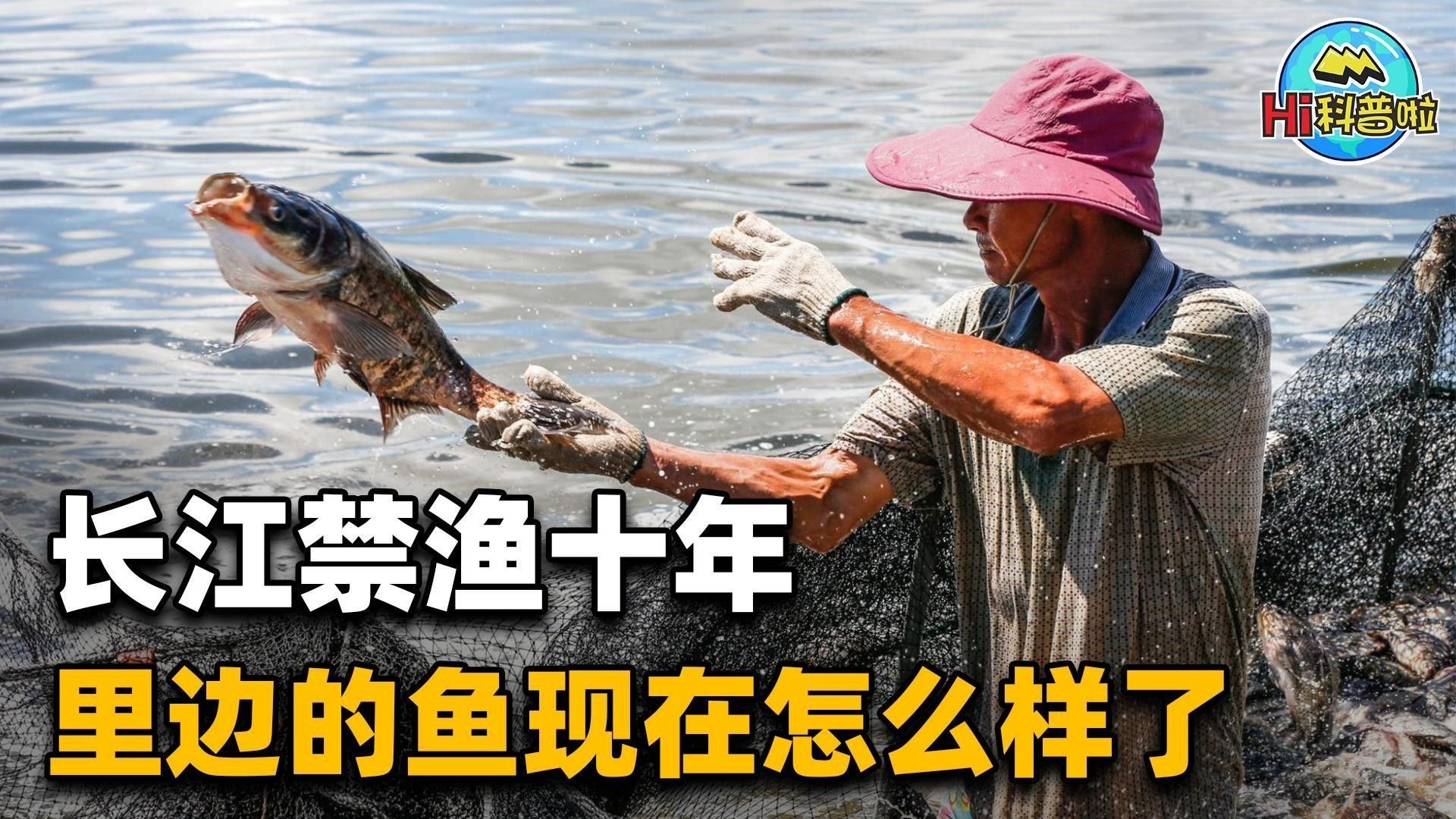 如何評估長江禁捕的效果