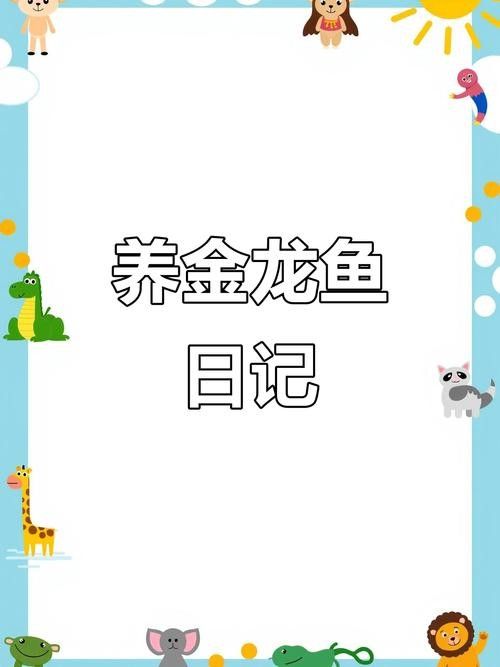 金龍魚苗需要多大的魚缸（金龍魚養(yǎng)殖指南，新手也能養(yǎng)出健康龍魚）