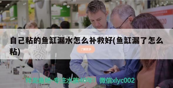 自己粘的魚缸漏水怎么補救好(魚缸漏了怎么粘)（自己粘的魚缸漏水怎么補救好，魚缸漏水怎么補救好魚缸）