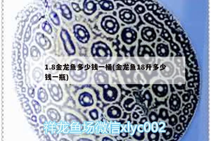 六盤(pán)水觀賞魚(yú)批發(fā)市場(chǎng)地址電話號(hào)碼（六盤(pán)水水產(chǎn)批發(fā)市場(chǎng)在哪里）（上海六盤(pán)水觀賞魚(yú)批發(fā)市場(chǎng)，興義市興創(chuàng)海鮮魚(yú)批發(fā)市場(chǎng)）