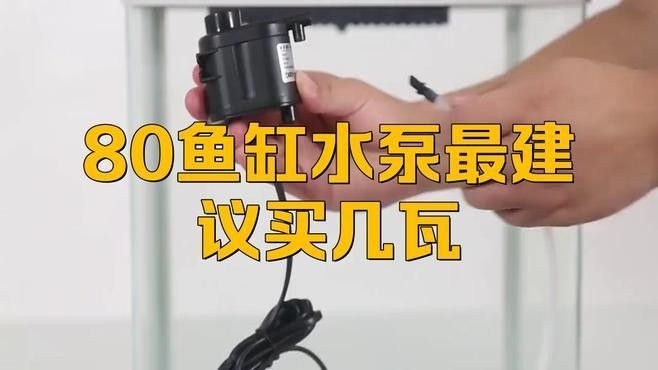 80的魚缸養金龍魚需要多大的功率過濾器（80升的魚缸用多大功率過濾器合適）