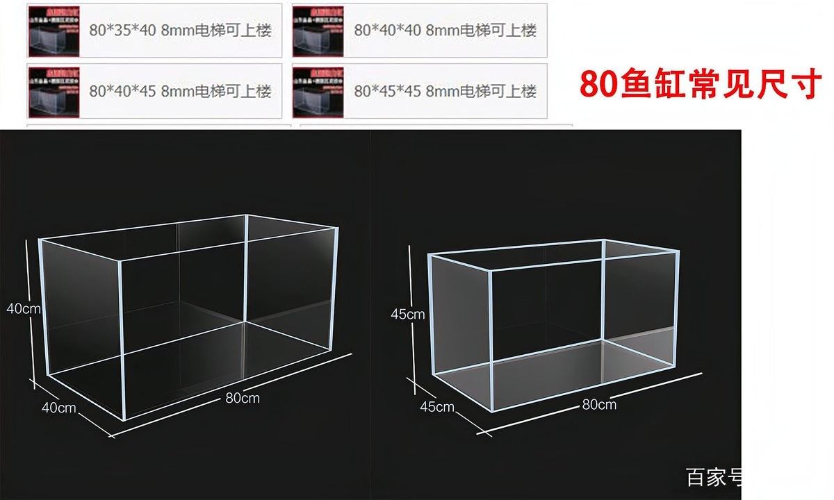 80的魚缸養金龍魚需要多大的功率過濾器（80升的魚缸用多大功率過濾器合適）