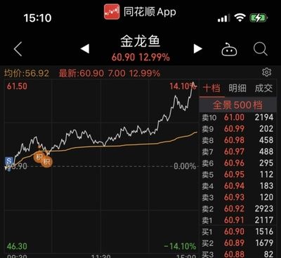養銀龍魚最小多大的缸最好看（養銀龍魚的魚缸大小選擇）