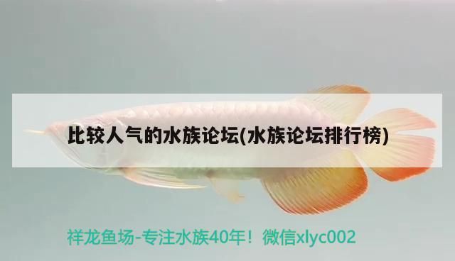 比較人氣的水族論壇(水族論壇排行榜)（人氣水族論壇排行榜：水族論壇排行榜）