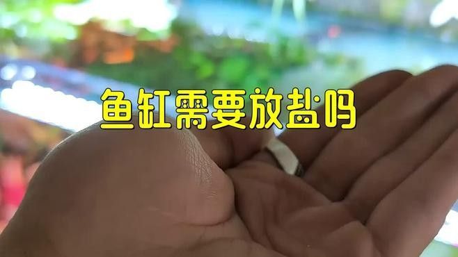 龍魚換水時需要加鹽嗎（魚缸換水加鹽總出錯學會這4步） 龍魚換水時需要加鹽嗎（魚缸換水加鹽總出錯學會這4步） 龍魚百科 第5張