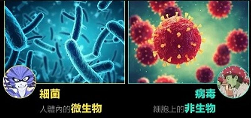 如何區分細菌感染和病毒感染？（區分細菌感染和病毒感染和病毒感染和病毒感染的區別）