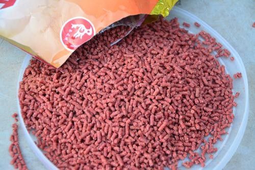 能再推薦幾款發(fā)色飼料嗎？（發(fā)色飼料推薦）