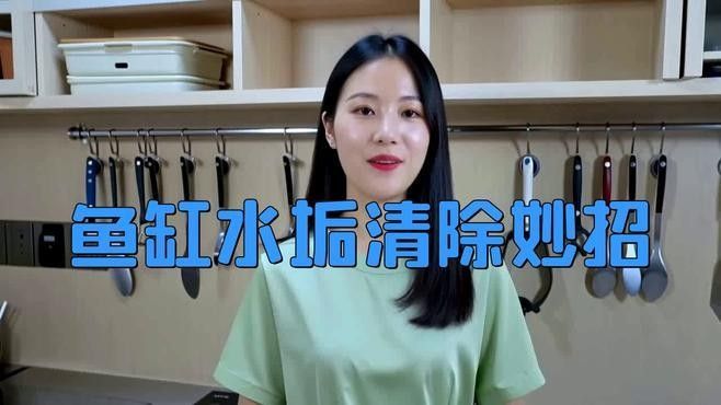 金龍魚缸多久清洗一次（金龍魚缸清洗頻率）
