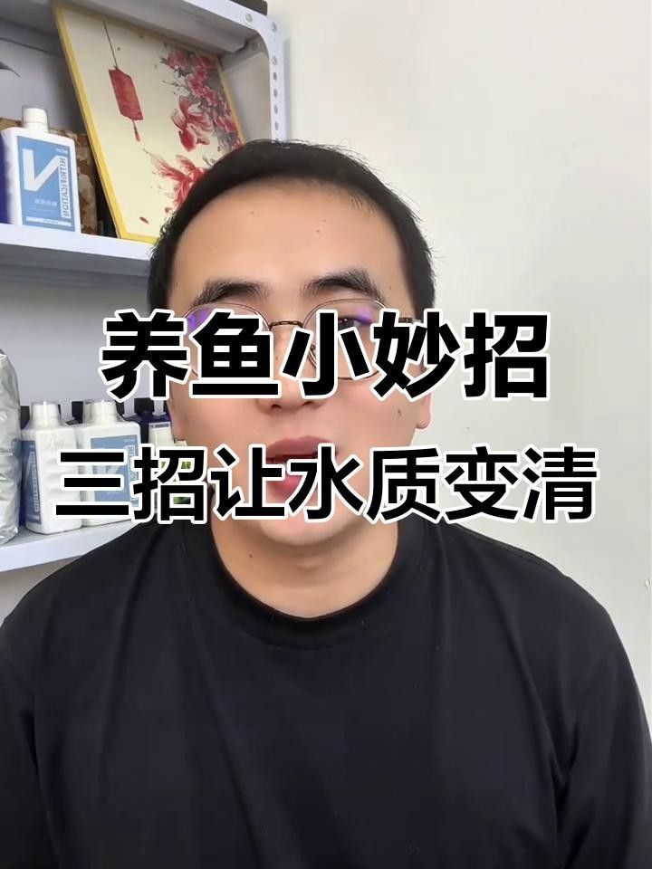 養魚缸水發綠色要怎么處理（ipoppy_魚缸水發綠了怎么解決）