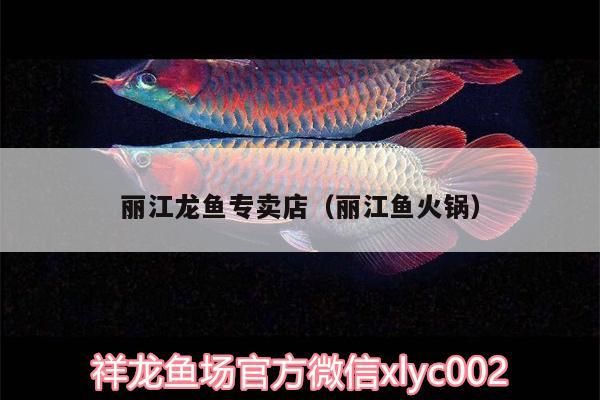 麗江龍魚專賣店（麗江魚火鍋）（麗江龍魚專賣店）