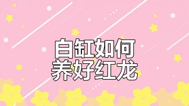 白水紅龍魚(yú)（白水紅龍魚(yú)和白水紅龍魚(yú)有什么區(qū)別？）