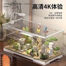 有沒有推薦的合肥龍魚論壇？（合肥地區(qū)龍魚愛好者協(xié)會(huì)推薦論壇）