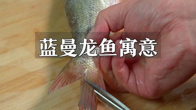 藍(lán)龍魚寓意（藍(lán)龍魚和紅龍魚有什么區(qū)別，藍(lán)龍魚的五大寓意和寓意）