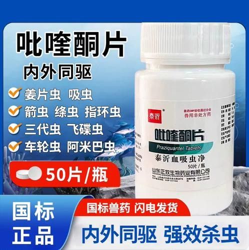 龍南龍魚（龍南龍魚品種或具體飼養技巧龍魚飼養全攻略）