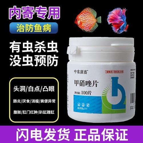 龍南龍魚（龍南龍魚品種或具體飼養技巧龍魚飼養全攻略）