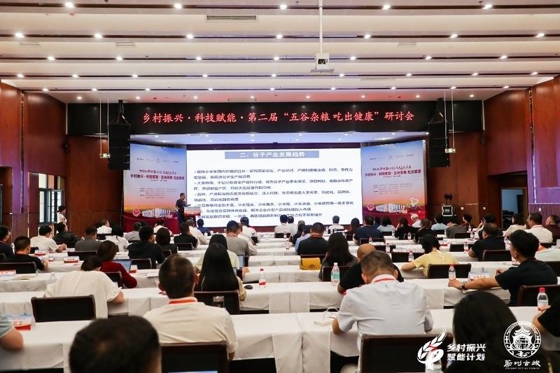 金龍魚米業與農業專家有哪些合作（金龍魚米業與農業專家的合作主要體現在以下幾個方面）