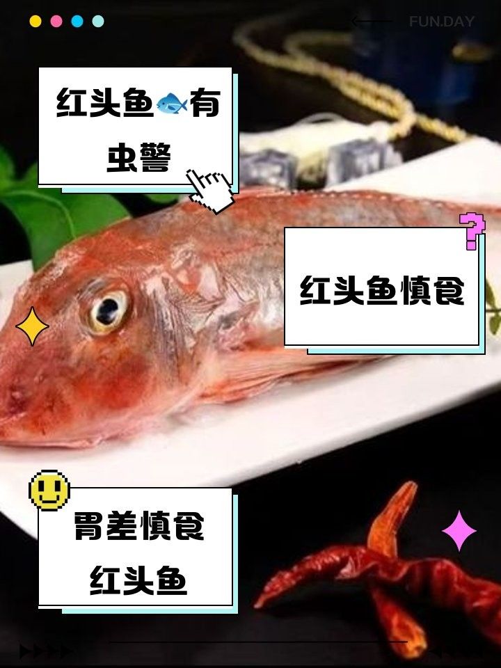 紅頭魚為何要盡量少吃（海上森林一只貓,紅頭魚為何盡量少吃）