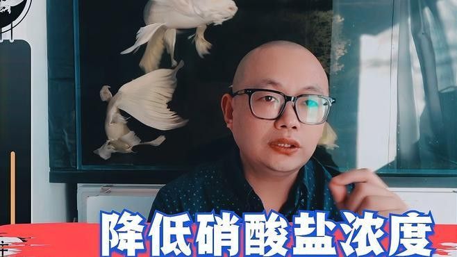如何降低水質中的硝酸鹽（降低水質中的硝酸鹽含量的方法） 如何降低水質中的硝酸鹽（降低水質中的硝酸鹽含量的方法） 龍魚百科 第1張