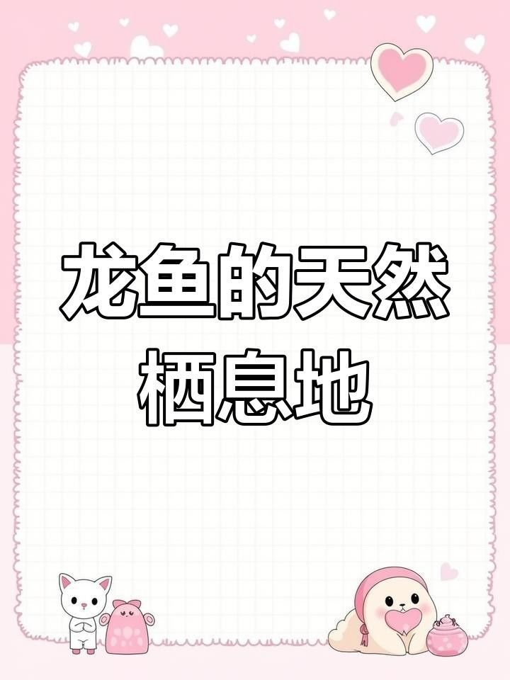 東源龍魚是什么魚（東源龍魚是什么？）