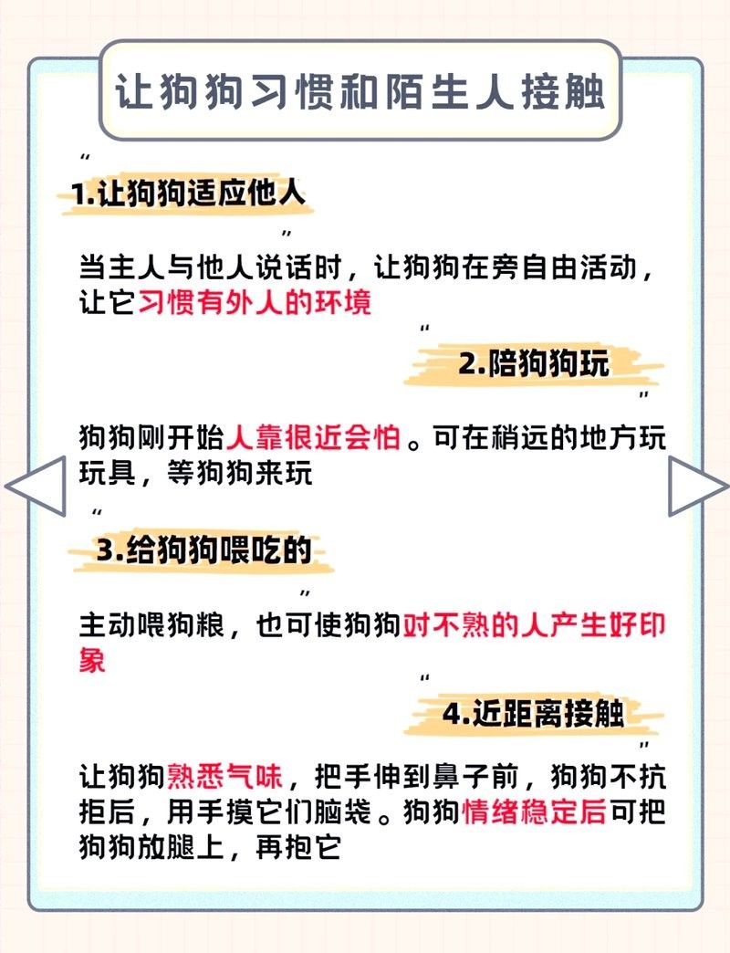 紅龍犬社會(huì)化訓(xùn)練有哪些具體方法（狗狗社會(huì)化訓(xùn)練需要多長(zhǎng)時(shí)間，紅龍犬社會(huì)化訓(xùn)練攻略） 紅龍犬社會(huì)化訓(xùn)練有哪些具體方法（狗狗社會(huì)化訓(xùn)練需要多長(zhǎng)時(shí)間，紅龍犬社會(huì)化訓(xùn)練攻略） 龍魚(yú)百科 第6張