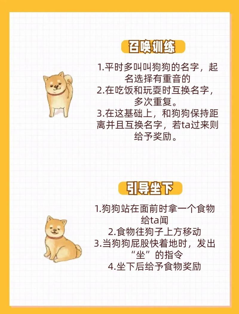 紅龍犬社會(huì)化訓(xùn)練有哪些具體方法（狗狗社會(huì)化訓(xùn)練需要多長(zhǎng)時(shí)間，紅龍犬社會(huì)化訓(xùn)練攻略） 紅龍犬社會(huì)化訓(xùn)練有哪些具體方法（狗狗社會(huì)化訓(xùn)練需要多長(zhǎng)時(shí)間，紅龍犬社會(huì)化訓(xùn)練攻略） 龍魚(yú)百科 第7張