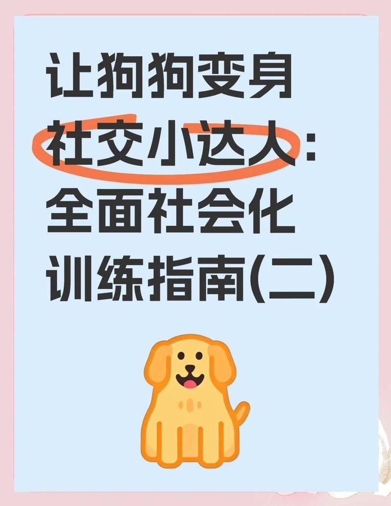 紅龍犬社會(huì)化訓(xùn)練有哪些具體方法（狗狗社會(huì)化訓(xùn)練需要多長(zhǎng)時(shí)間，紅龍犬社會(huì)化訓(xùn)練攻略） 紅龍犬社會(huì)化訓(xùn)練有哪些具體方法（狗狗社會(huì)化訓(xùn)練需要多長(zhǎng)時(shí)間，紅龍犬社會(huì)化訓(xùn)練攻略） 龍魚(yú)百科 第9張