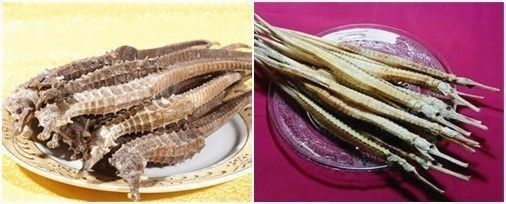 干煸海龍魚是什么魚（干煸海龍魚的做法）