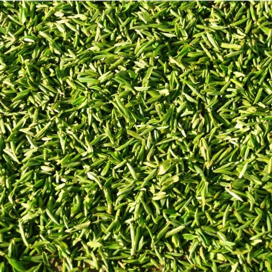 開化龍頂（開化龍頂茶是什么茶老任說三農(nóng)，茶江湖里的龍頂）