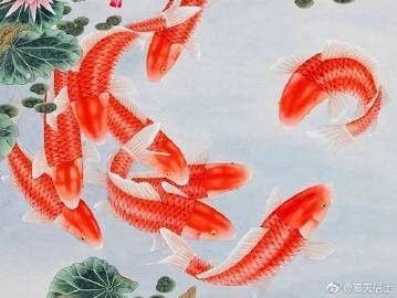 什么屬相不能養(yǎng)龍魚十二生肖養(yǎng)魚忌諱（十二生肖與養(yǎng)魚忌諱）