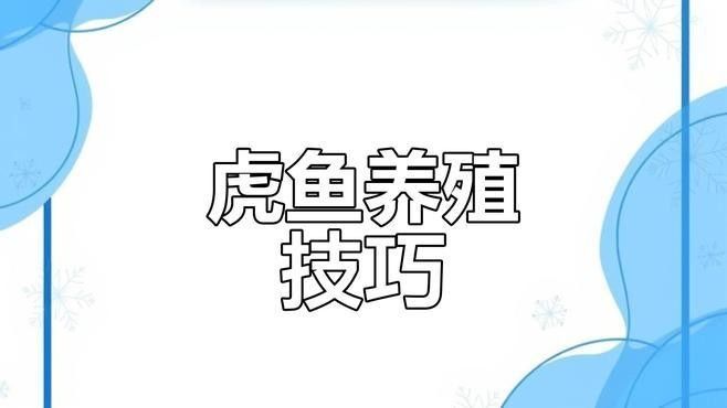 給我推薦更多龍魚和虎魚的視頻資源（關于龍魚和虎魚的視頻資源推薦）