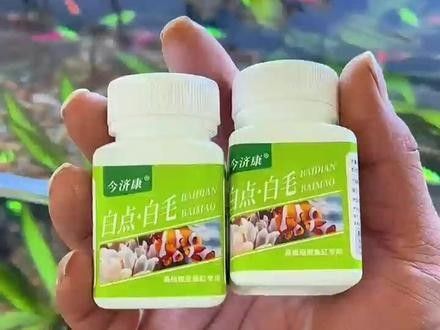 龍魚尾巴紅血絲需要多久治療 龍魚尾巴紅血絲需要多久治療 龍魚百科 第3張