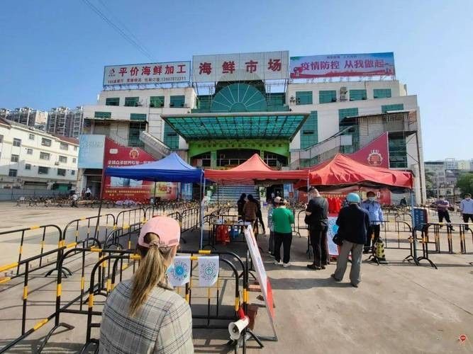 葵龍魚的市場價格（葵龍魚的市場價格波動） 葵龍魚的市場價格（葵龍魚的市場價格波動） 龍魚百科 第3張