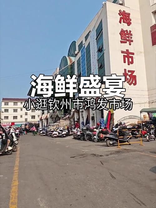 葵龍魚的市場價格（葵龍魚的市場價格波動） 葵龍魚的市場價格（葵龍魚的市場價格波動） 龍魚百科 第2張
