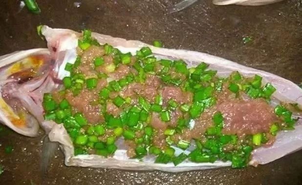 葵龍魚的市場價格（葵龍魚的市場價格波動） 葵龍魚的市場價格（葵龍魚的市場價格波動） 龍魚百科 第7張