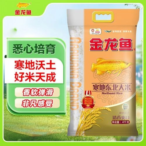 金龍魚高清圖片的價格是多少？（金龍魚高清圖片價格）