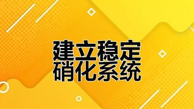 草缸中如何維護硝化系統？（如何維護草缸中硝化系統）