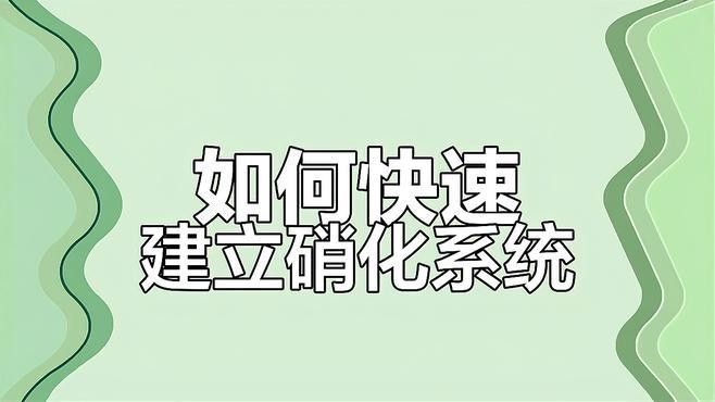 草缸中如何維護硝化系統？（如何維護草缸中硝化系統）