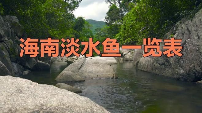海南十大淡水魚（海南十大淡水魚vivian小灶海南淡水魚一覽表劇癮不管飯）