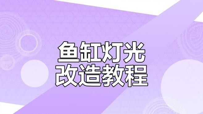 龍魚缸燈多久換一次？（魚缸燈的更換頻率取決于多個因素） 龍魚缸燈多久換一次？（魚缸燈的更換頻率取決于多個因素） 龍魚百科 第2張