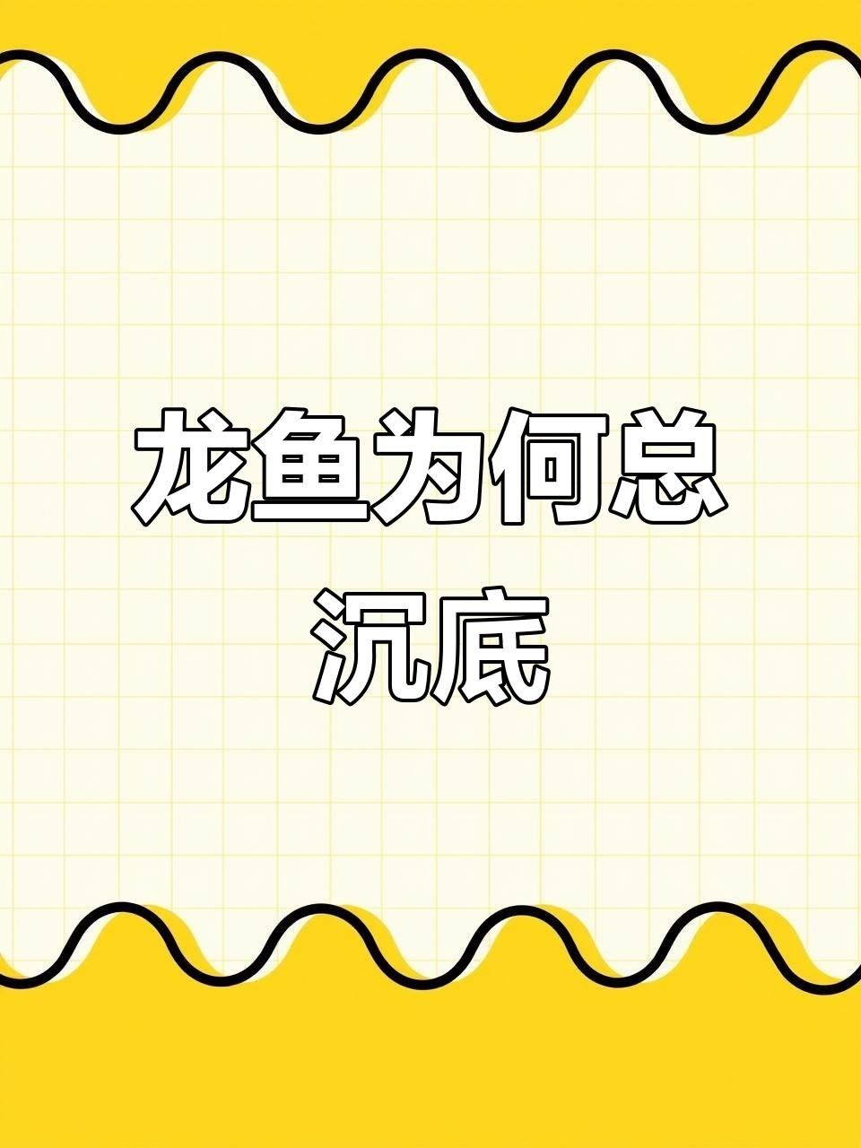 龍魚不動是什么原因（龍魚一動不動怎么辦）