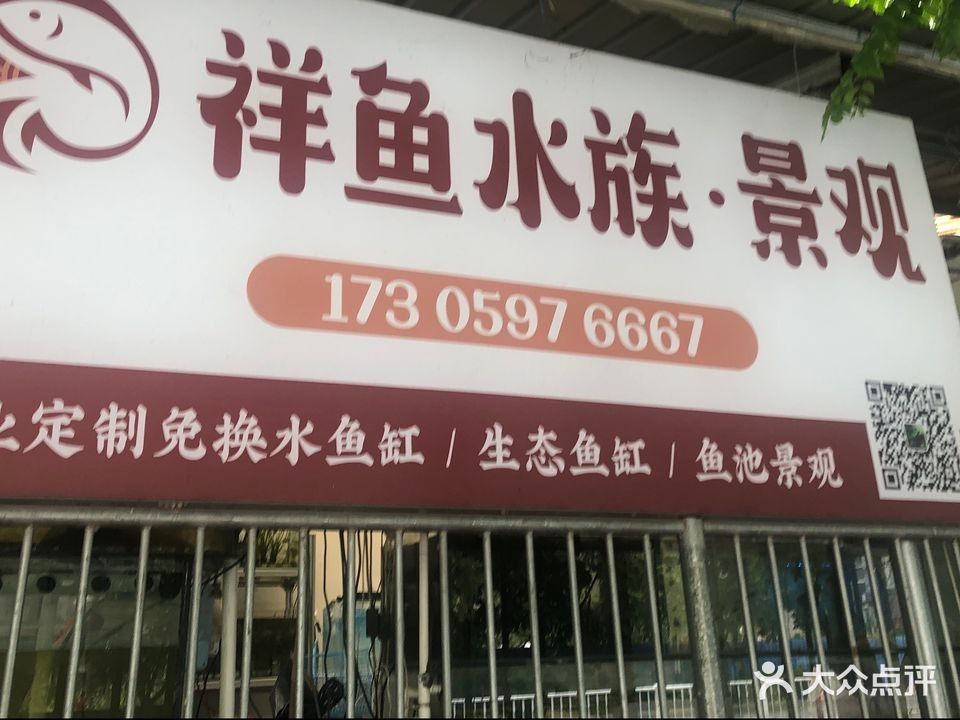 漳平哪個水族館龍魚好？祥龍魚場龍魚（漳平市祥龍魚場）