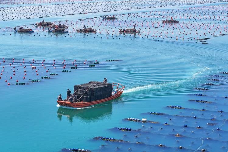 龍騰四海魚場的口碑如何？
