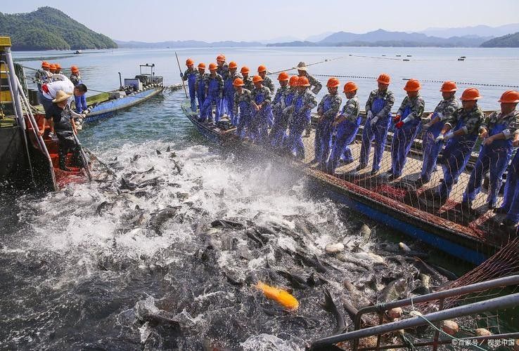 龍騰四海魚場的口碑如何？
