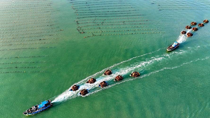 龍騰四海魚場的口碑如何？