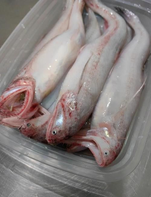 龍頭魚是哪里的特產