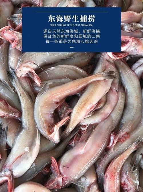龍頭魚是哪里的特產